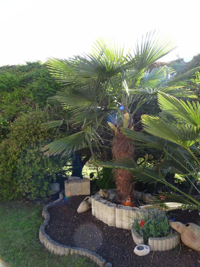 Chambre Studio Avec Kichenette Soleil De Nacre Hermanville-sur-Mer Exterior foto